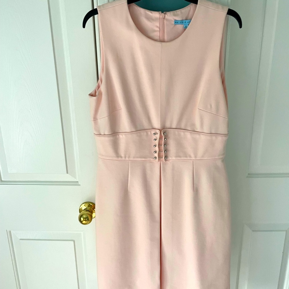 Antonio Melani blush dress. Fitted, knee length, with synched waist.